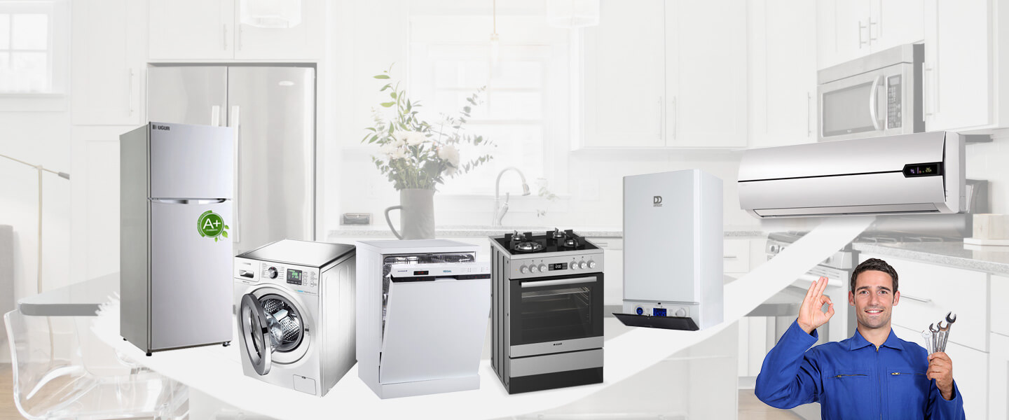 Hendek Warmhaus Servisi